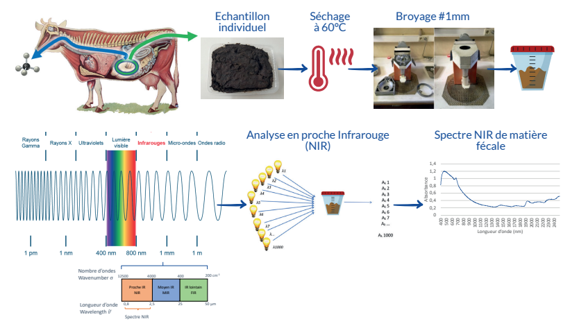 Produire de la viande durablement, c’est possible !
Méthode pour déterminer les émissions de méthane des animaux.